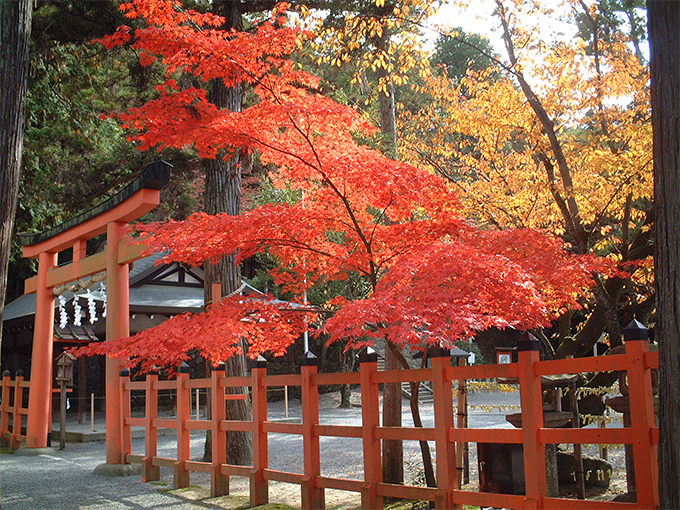 吉田神社