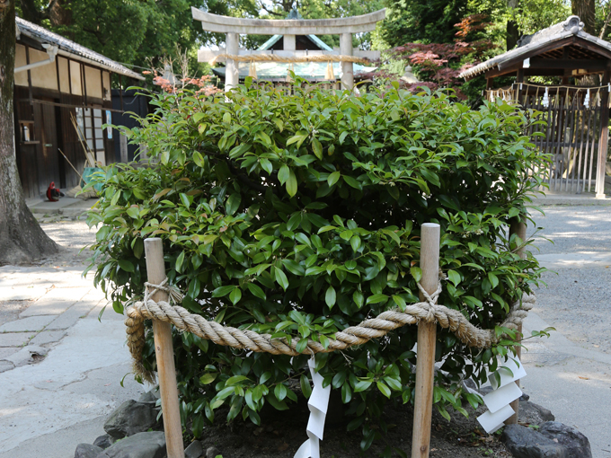 田中神社