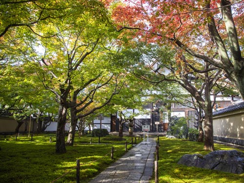 大徳寺　黄梅院