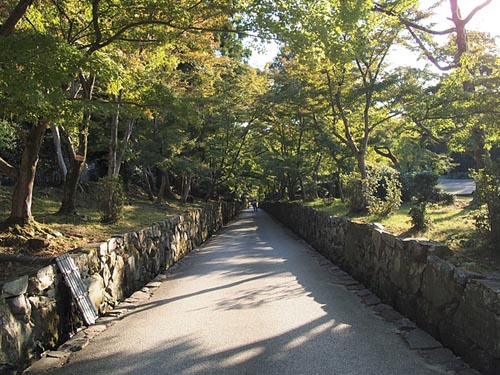 興聖寺（仏徳山　興聖寺）