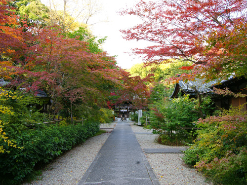 梨木神社