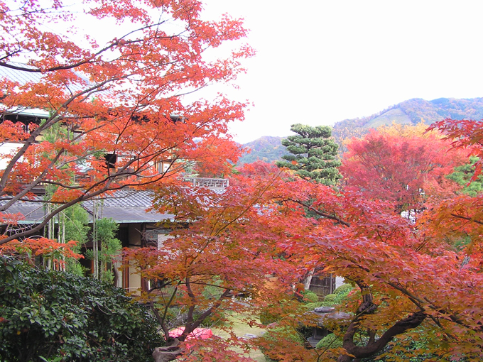 吉田山荘